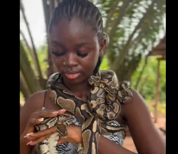 Meet the 'Snake Girl': Why Taiwo Okikiola is fighting to save snakes
