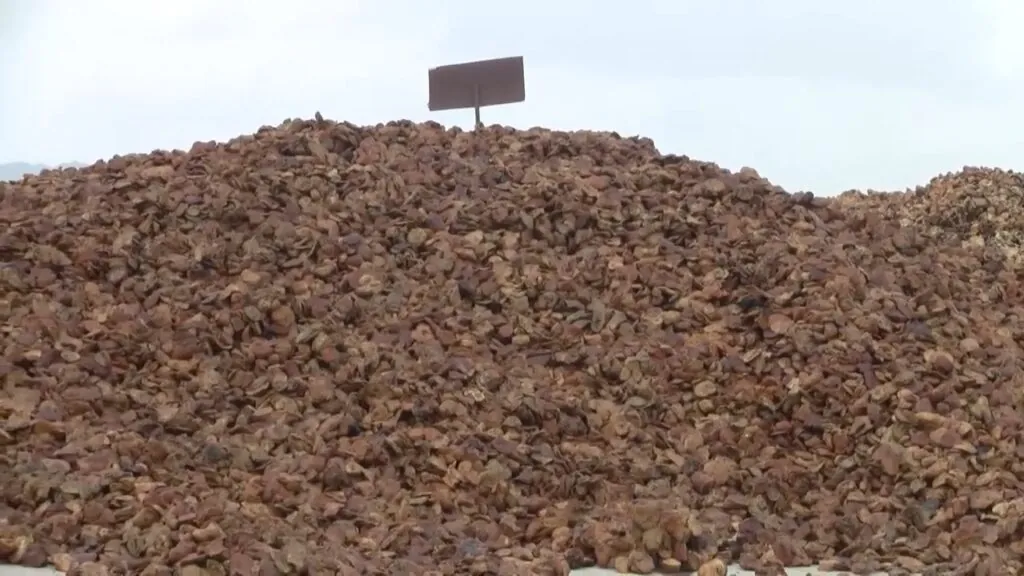RUPAG rejects claims raw rubber export ban is hurting farmers, defends policy