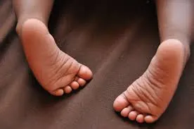 Newborn baby's body found at refuse dump, police launch investigation