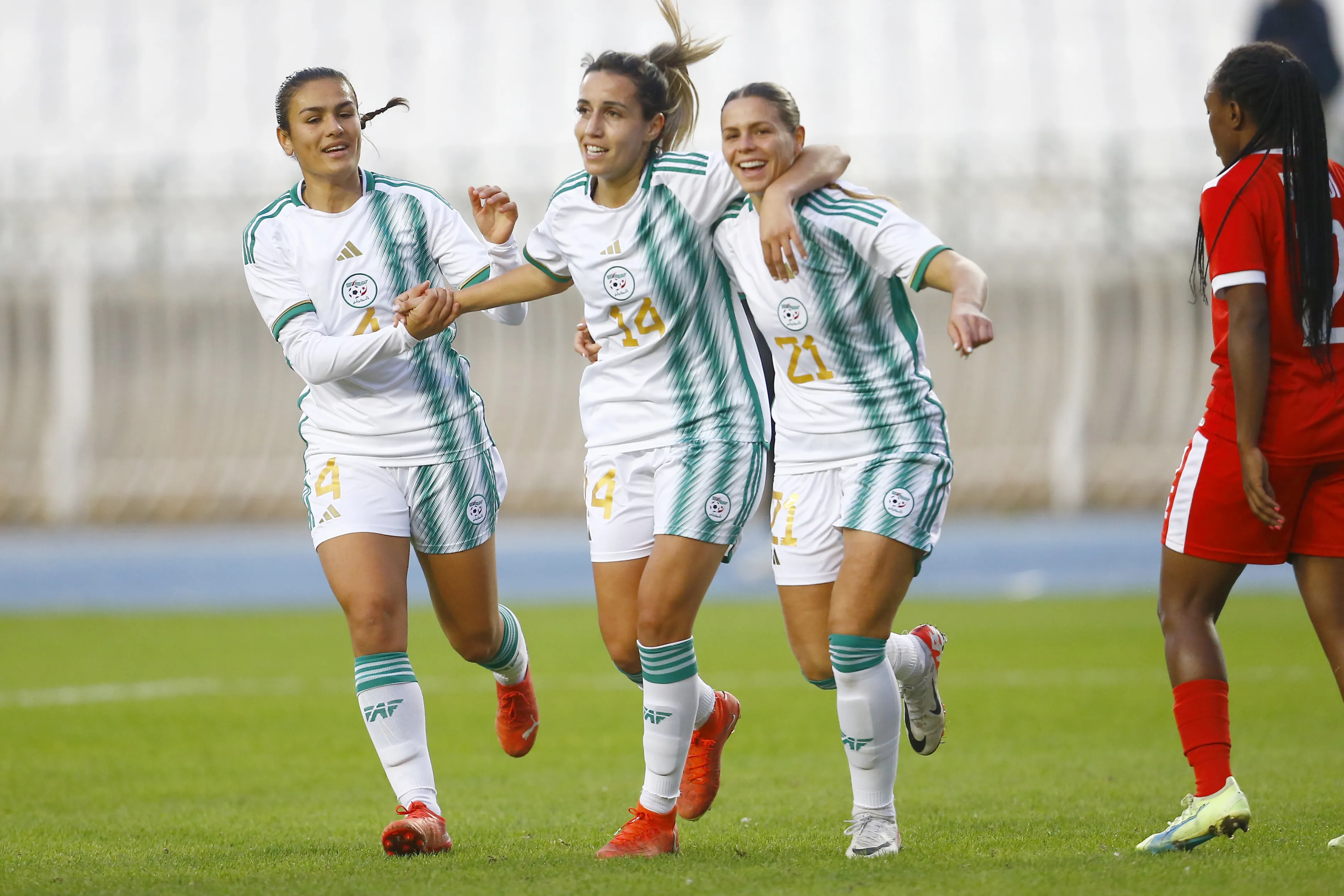 WAFCON 2026: Algeria ready to challenge Africa’s elite