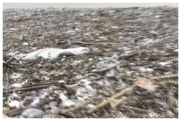 Laboma Beach covered by plastic waste after devastating Accra floods