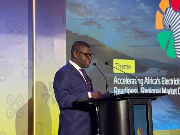 Govt assures investors of stable power supply