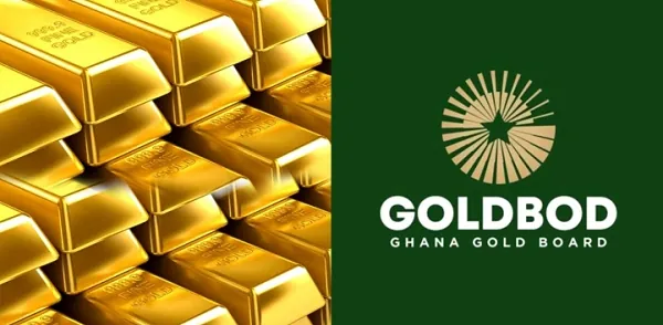 Weak governance could undermine GoldBod’s success - Dr Osabutey