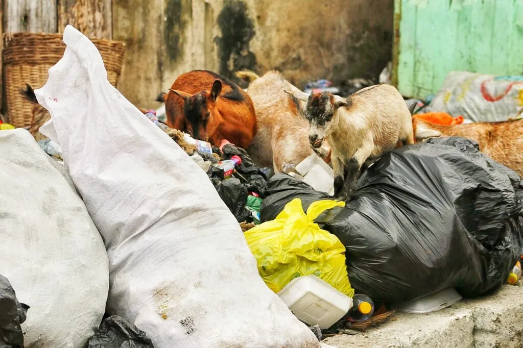 Heaps of refuse, choked drains linger in parts of Accra nearly 2 weeks after nationwide clean-up