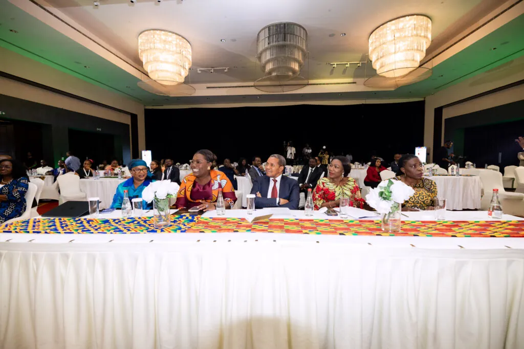 African leaders call for greater domestic health financing to build resilient health systems