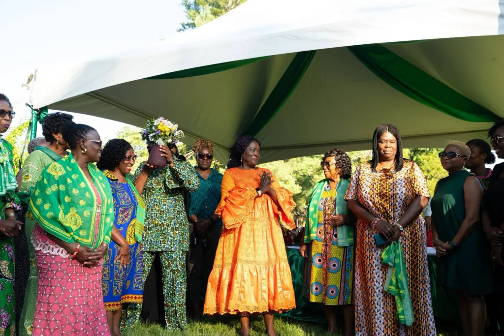 Vice President assures Ghanaian diaspora of steady economic recovery, calls for support