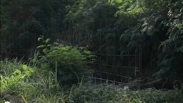 Watch as flood task force flags project disrupting the natural course of a river in Oyarifa