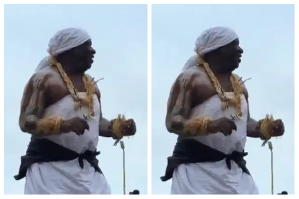 Watch: Omanhene of Edina 'electrifies' crowd with dance moves at 2026 Bakatue Festival
