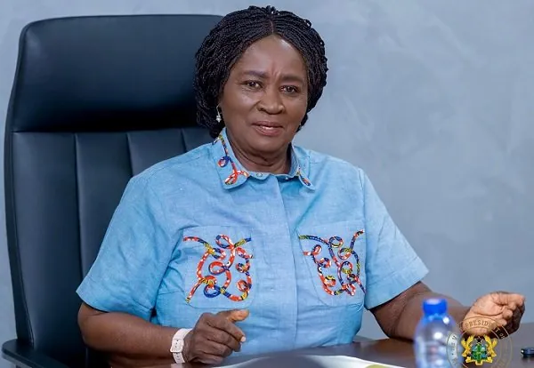 Expensive politics shutting out competent leaders — Veep
