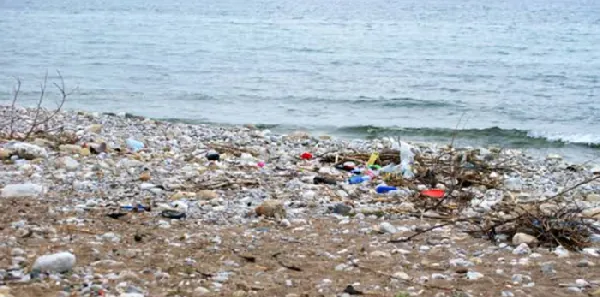 ‘Why pollution has not killed river deities’ - Nuumo Tsawe Otrome II explains