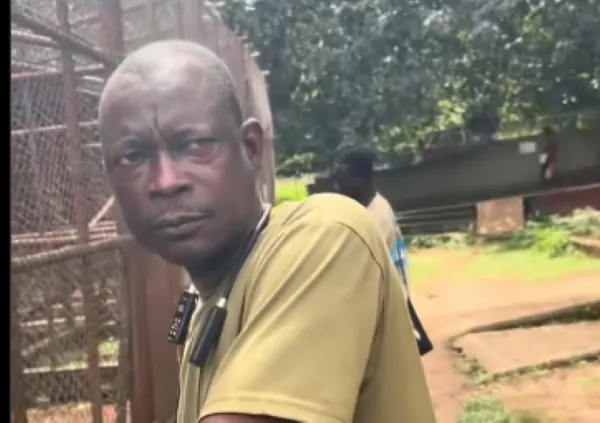 ‘I don’t know how her house spirits operate’ - Watch as tour guide refuses to put snake around lady’s neck