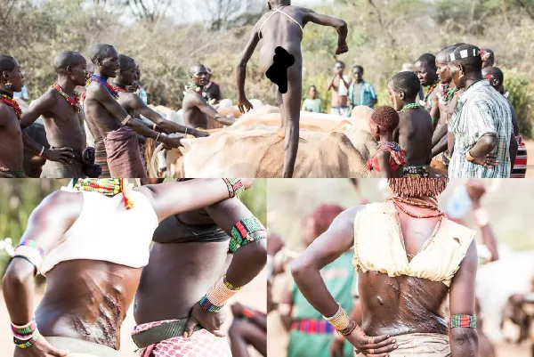 Naked Bull-Jumping, Whipping, Iron Neck Choker: Inside the ‘horror’ of a Hamar Tribe wedding