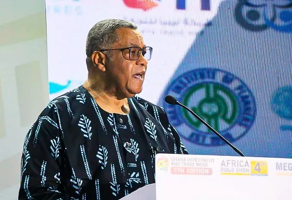 24-Hour Economy to drive Ghana's industrial transformation - Goosie Tanoh