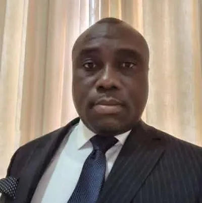 Who will pay for expanded primaries?- Gary Nimako questions Supreme Court ruling