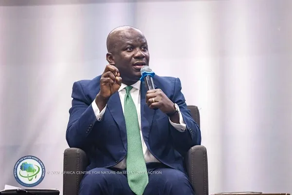 Innovative climate finance to drive Africa's nature-based solutions agenda - Jinapor