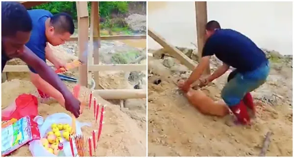 Watch as Chinese nationals perform sacrifice at suspected galamsey site