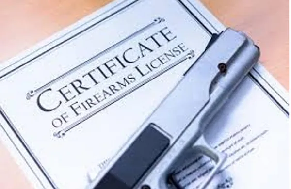 Suspend gun licence revocation - Security analysts