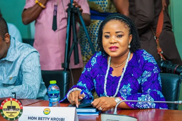Read former NDC MP's reaction amid final evacuation of citizens from South Africa