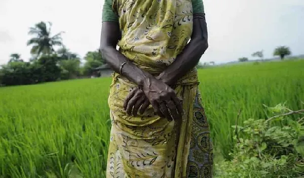 There are 91,000 slaves in Ghana – Global Freedom Network