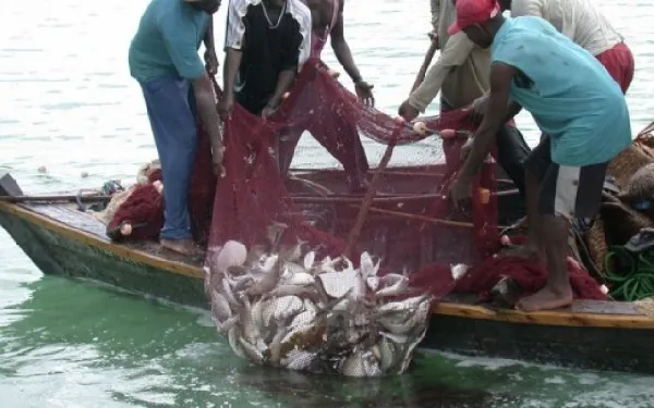 Galamsey affecting fish production in Bono Region - Fisheries Commission