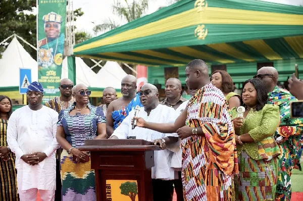 Government seeks land in Akyem Abuakwa for major palm processing factory