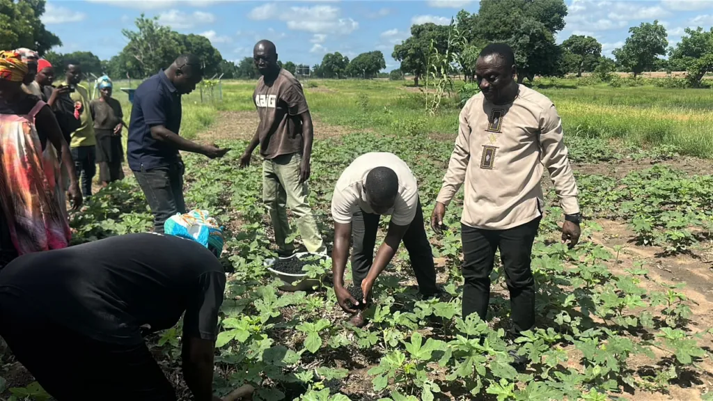 Biochar revolution gives Upper East women farmers hope amid fertiliser price hikes