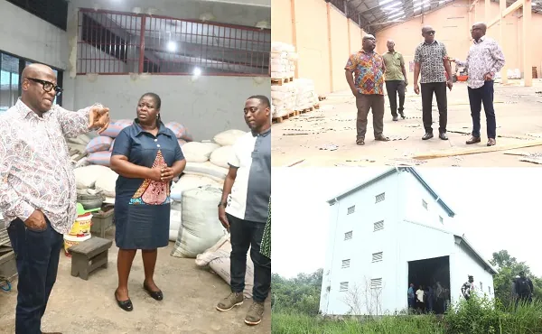NAFCO intensifies warehouse expansion drive after farmers' glut concerns