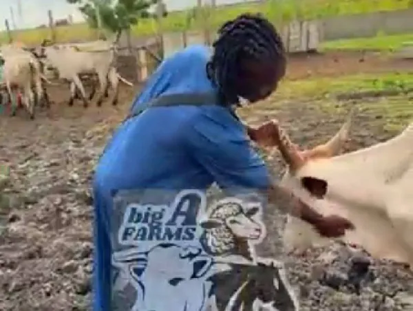 Alidu Seidu shares glimpse of his cattle farm after Black Stars' World Cup exit
