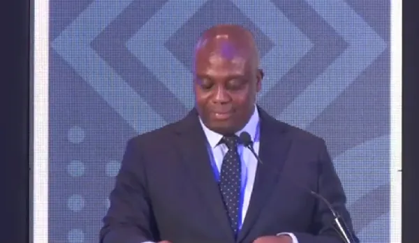 Deputy Finance Minister calls for political financing reforms to protect Africa's democracy