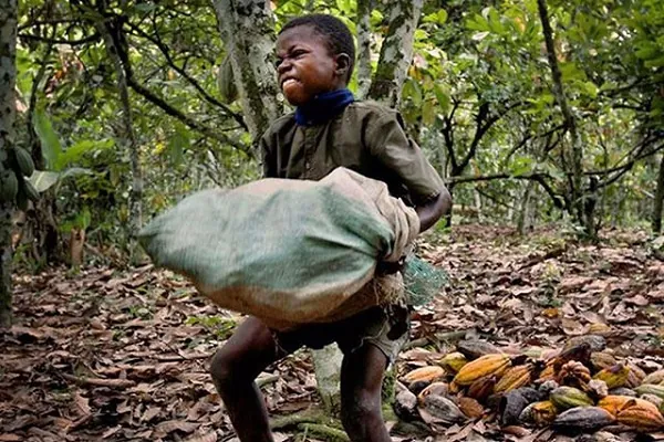 Labour minister declares first child labour-free zone in three farming communities