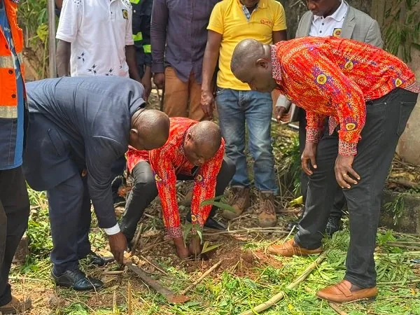 ECG Ashanti West plants trees to boost vegetation in Kumasi