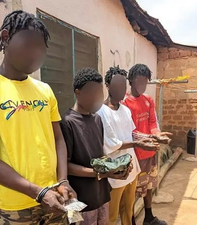 Police arrest 44 over alleged drug network targeting university students