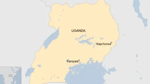 Uganda suspends school trips after 20 pupils die in bus crash