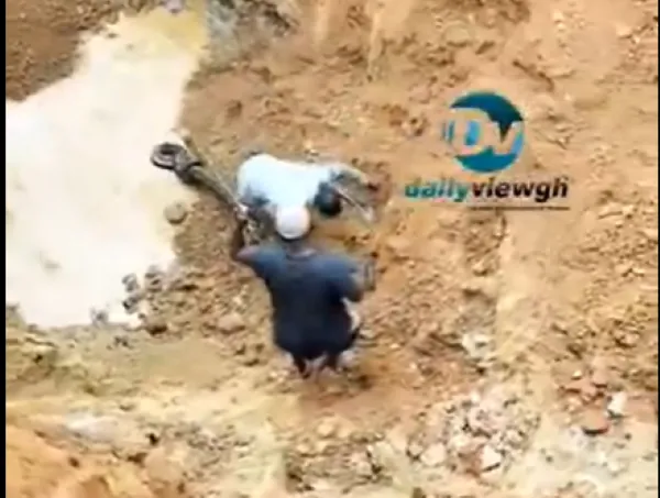 Watch as man battles deadly snake at galamsey site
