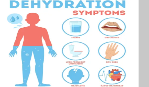 Did You Know?: Dehydration can affect your heart, brain and digestive system