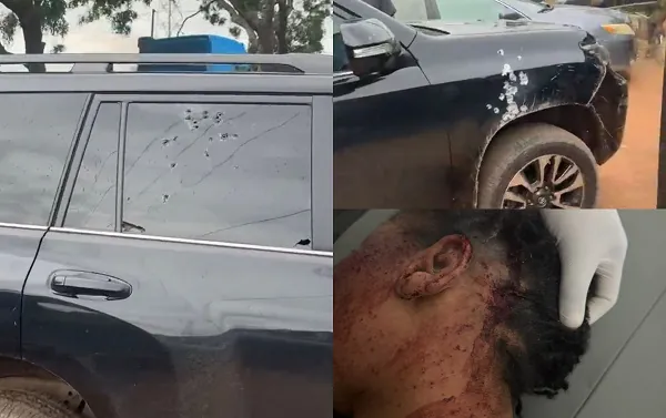 ‘I survived after 48 bullets were fired at my car’ - Adwoa Safo recounts shooting incident