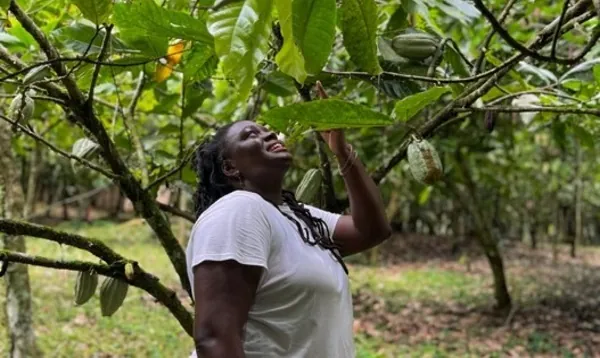 Ghanaian farmers share indigenous knowledge with visiting US chefs