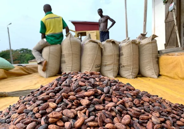 COCOBOD misses June target to clear over GH¢6bn debt, leaving GH¢3.4bn outstanding