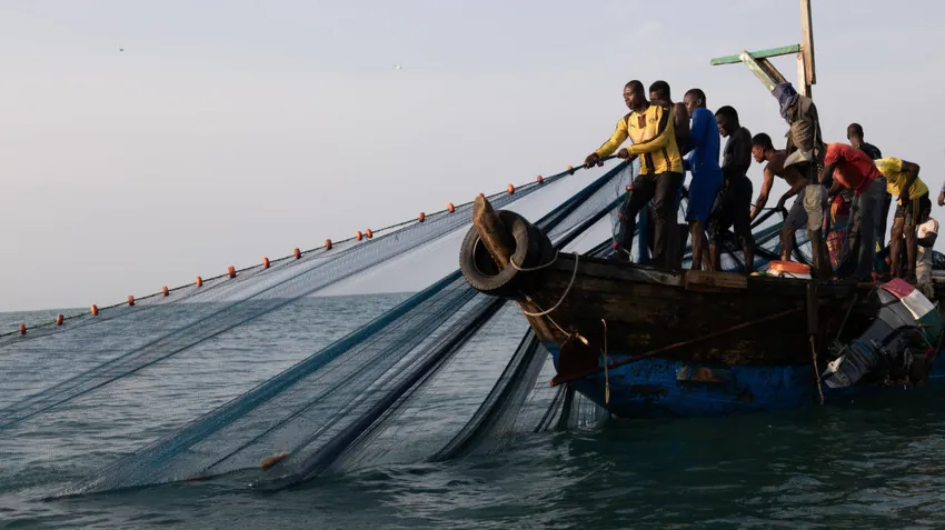 We’ve strengthened global partnerships to tackle illegal fishing , declining fish stocks—Fisheries Minister