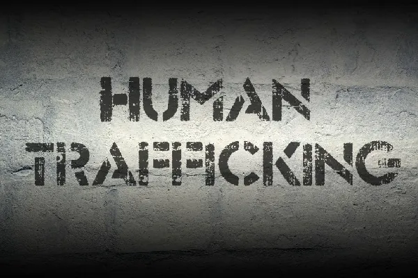 Government urged to protect trafficking victims forced into online scams