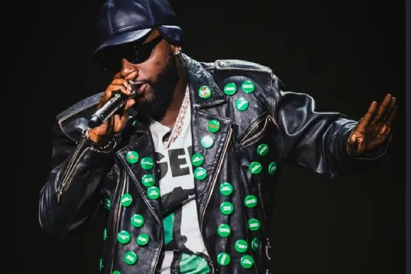 ‘No image to protect if kids are kidnapped’ - Davido explains FIFA World Cup protest