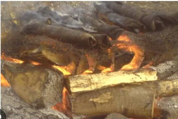 The hidden health risks of meat singed over burning tyres